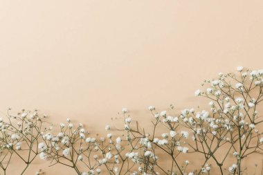 Çiçek kompozisyonu hafif, turkuaz bej arka plan, üst manzara, çerçeve üzerinde küçük beyaz çiçek kütleleri. Çingene Bebek Nefesi Çiçekleri