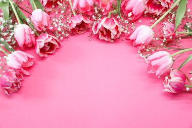 Pembe laleler ve pembe arka planda beyaz çingene çiçekleri. Anneler Günü, doğum günü kutlaması konsepti. Uzayı metin için kopyala. Model