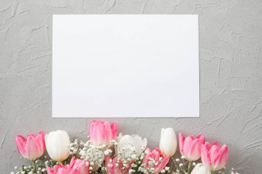 Pembe laleler ve zarif gri taştan arka planda beyaz çigila çiçekleri. Anneler Günü, doğum günü kutlaması konsepti. Uzayı metin için kopyala. Model