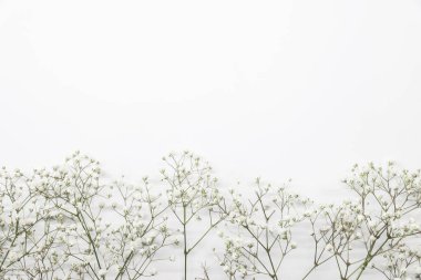 Çiçek kompozisyonu hafif, turkuaz beyaz arka plan, üst manzara, çerçeve üzerinde küçük beyaz çiçek kütleleri. Çingene Bebek Nefesi Çiçekleri