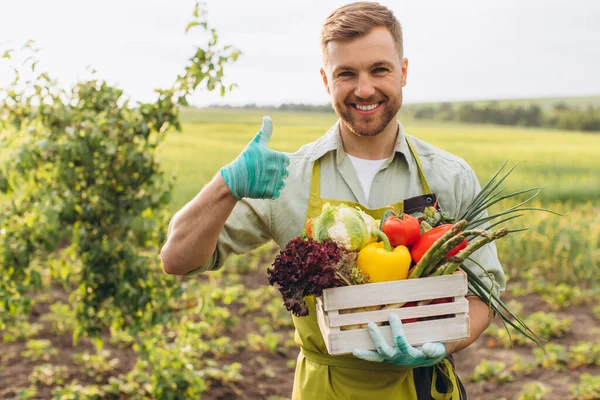 Homem Agricultor Feliz Segurando Cesta Com Legumes Frescos Jardim Conceito — Fotografia de Stock