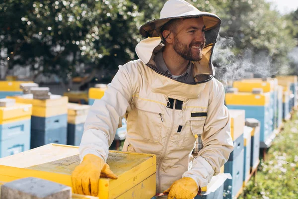 一个快乐的养蜂人在蜂房附近的蜂窝里工作的画像 收集蜂蜜 养蜂人在Apiary 养蜂业概念 — 图库照片