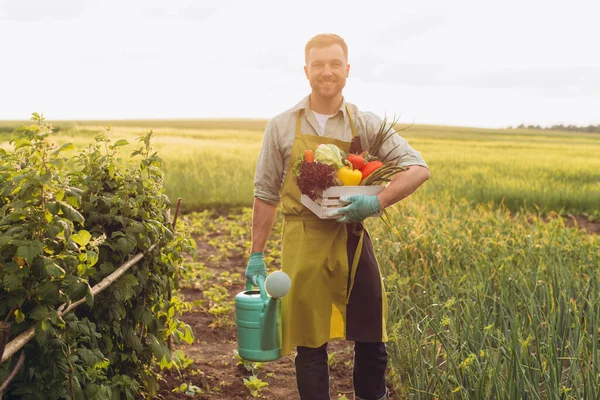 Happy Farmer Man Holding Basket Fresh Vegetables Watering Can Gardening — Stock Photo, Image