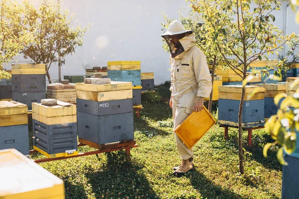 Porträt Eines Glücklichen Männlichen Imkers Der Einem Bienenhaus Der Nähe — Stockfoto