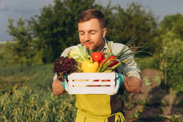 Szczęśliwy Rolnik Trzyma Kosz Świeżymi Warzywami Tle Tęczy Ogrodu Koncepcja — Zdjęcie stockowe