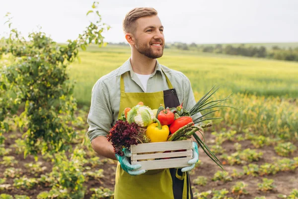 Happy Farmer Man Holding Basket Fresh Vegetables Garden Gardening Concept — Stock Photo, Image