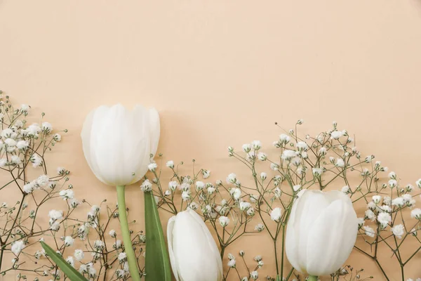 Beyaz Laleler Bej Arka Planda Çingene Çiçekleri Anneler Günü Doğum — Stok fotoğraf