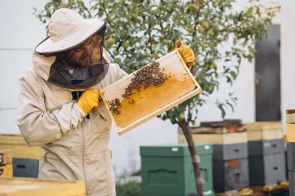 Der Imker Hält Eine Honigzelle Mit Bienen Der Hand Imkerei — Stockfoto