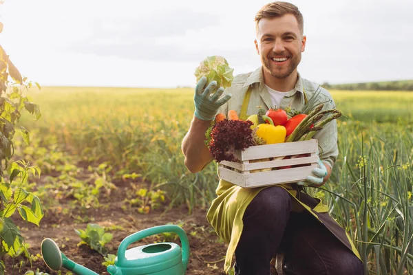 Homem Agricultor Feliz Segurando Cesta Com Legumes Frescos Mostrando Repolho — Fotografia de Stock