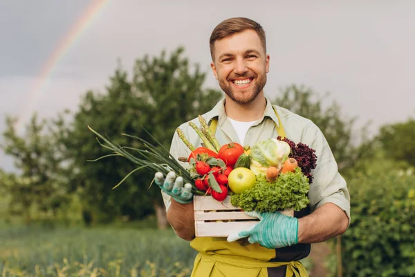 Felice Giardiniere Uomo Tenendo Cesto Con Verdure Fresche Sfondo Arcobaleno — Foto Stock