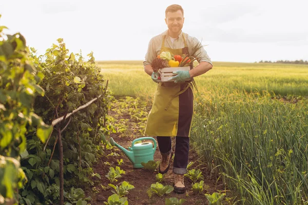 Hombre Agricultor Feliz Sosteniendo Cesta Con Verduras Frescas Concepto Jardinería —  Fotos de Stock