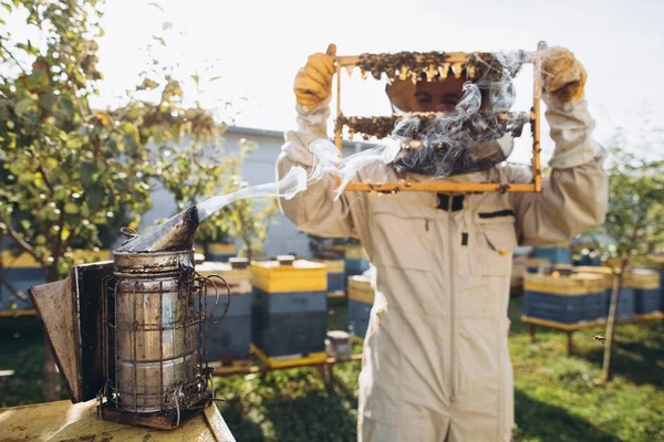 Arı Yetiştiricisi Arıların Kovanını Inceliyor Planda Arıcının Dumanından Çıkan Dumanlar — Stok fotoğraf