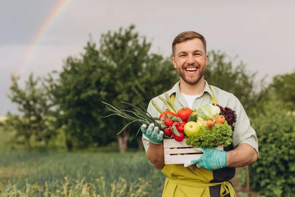 虹と庭の背景に新鮮な野菜とバスケットを保持する幸せな庭師の男 園芸の概念 — ストック写真