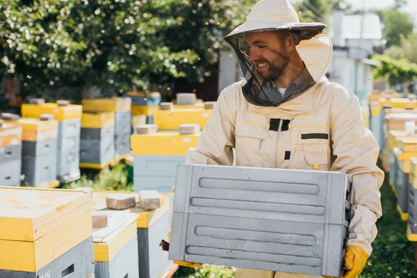 Pszczelarz Zbiera Miód Koncepcja Pszczelarstwa — Zdjęcie stockowe