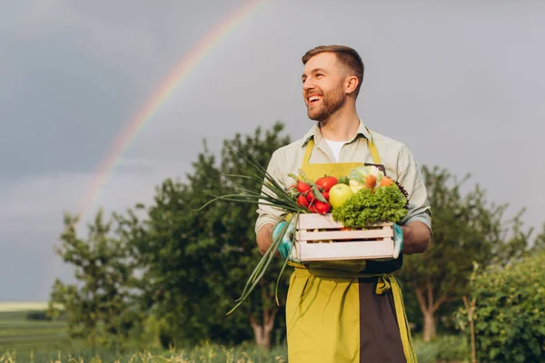 Felice Giardiniere Uomo Tenendo Cesto Con Verdure Fresche Sfondo Arcobaleno — Foto Stock