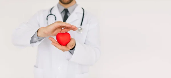 Der Männliche Kardiologe Arzt Hält Herz Mit Kopierraum Auf Weißem — Stockfoto