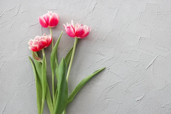 粉红郁金香花束在时尚的灰色石头背景 选择性的焦点 母亲节 生日庆祝的概念 文本的复制空间 — 图库照片