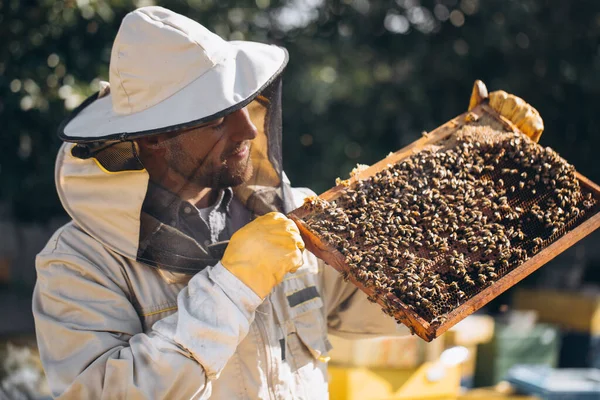养蜂人手里拿着一个蜂房 Apiary 蜜蜂在蜂蜜梳子上工作蜂窝与蜂蜜和蜜蜂特写 — 图库照片