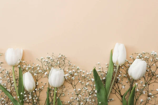 Білі Тюльпани Гіпсофільні Квіти Букетують Бежевому Тлі День Матері Ідея — стокове фото