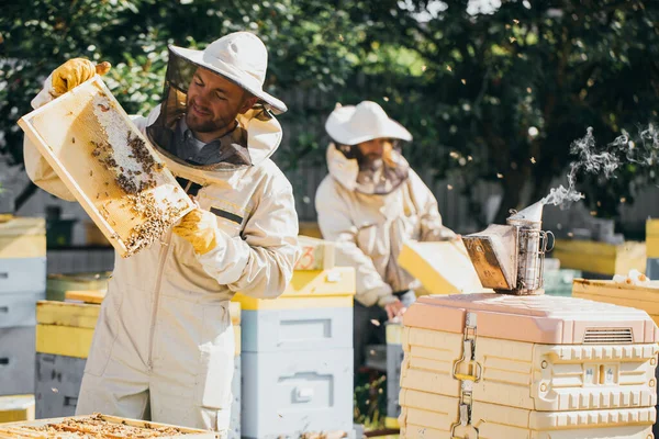 Dos Apicultores Trabajan Con Panal Lleno Abejas Uniforme Protector Trabajando —  Fotos de Stock