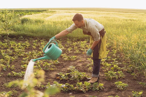Glücklicher Bauer Wässert Die Beete Und Arbeitet Garten — Stockfoto
