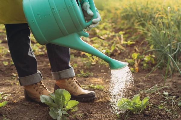 Seorang Petani Laki Laki Air Tempat Tidur Dan Bekerja Kebun — Stok Foto
