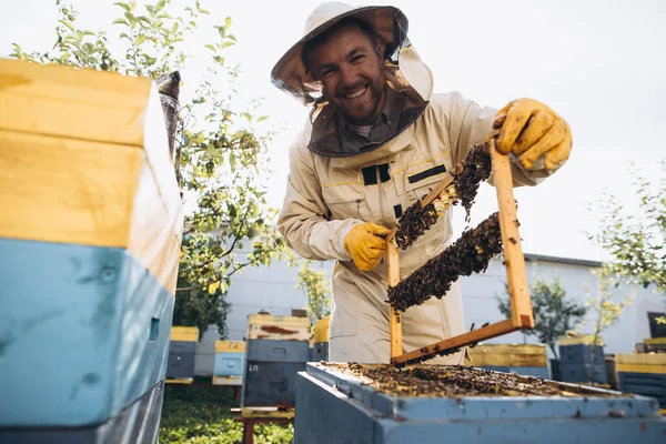 Včelařská Královna Pro Včelí Královnu Mužský Včelař Včelíně Včelami Královnami — Stock fotografie
