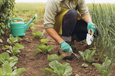 Mutlu çiftçi yatakları sular ve bahçede çalışır.