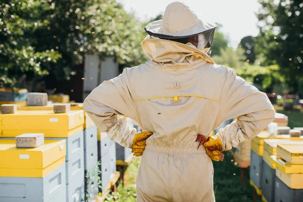 オス養蜂家保持ツール上の任意の バックビュー — ストック写真