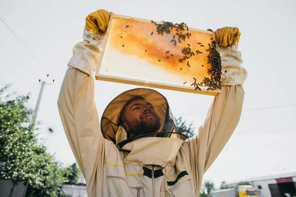 Biodlaren Håller Honungscell Med Bin Sina Händer Biodling Hjälpreda Arbetande — Stockfoto