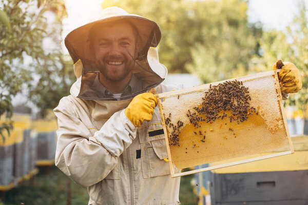 The beekeeper holds a honey cell with bees in his hands. Apiculture. Apiary. Working bees on honey comb. Honeycomb with honey and bees close-up.