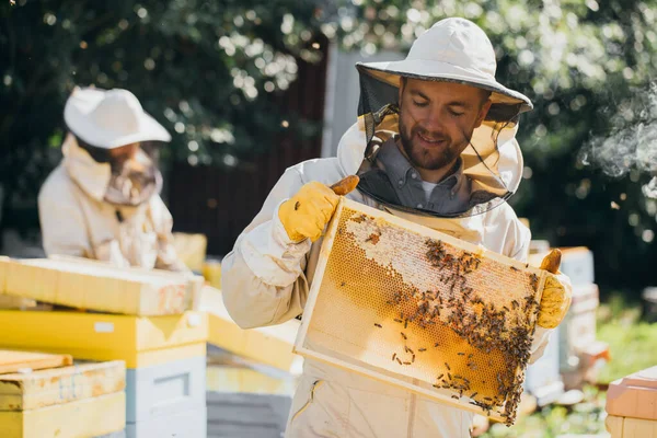 Portret Pszczelarza Trzymającego Plaster Miodu Pełen Pszczół Pszczelarz Ochronnej Odzieży — Zdjęcie stockowe