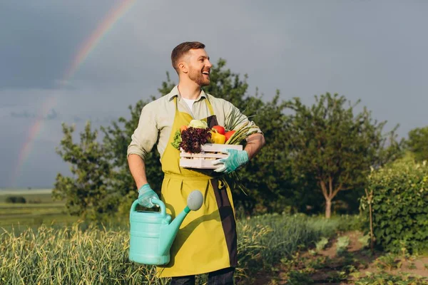Szczęśliwy Ogrodnik Człowiek Gospodarstwa Kosz Świeżymi Warzywami Tle Tęczy Ogrodu — Zdjęcie stockowe
