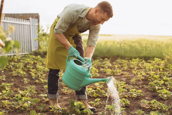幸せな農家の男はベッドに水をやり庭で働く — ストック写真