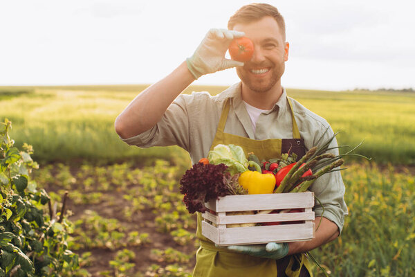 Happy farmer man holding basket with fresh vegetables and putting tomato to eyes in garden, gardening concept