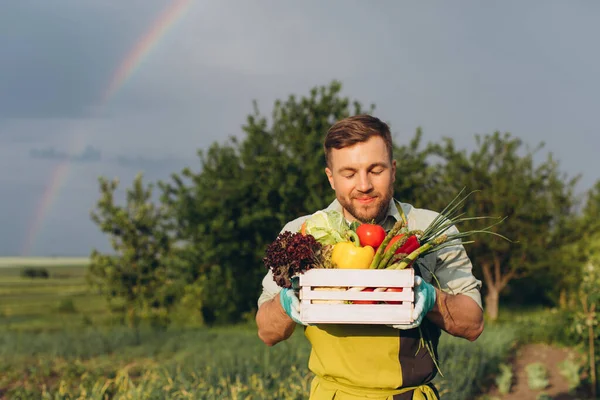 快乐的农民男人拿着菜篮 菜篮里有彩虹和花园背景 园艺的概念 — 图库照片