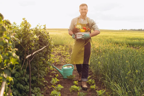 Happy Farmer Man Holding Basket Fresh Vegetables Gardening Concept — Stock Photo, Image