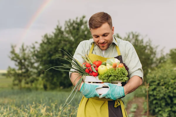 Hombre Jardinero Feliz Celebración Cesta Con Verduras Frescas Sobre Arco —  Fotos de Stock