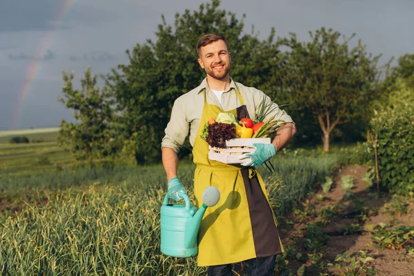 Glücklicher Gärtner Mann Hält Korb Mit Frischem Gemüse Auf Regenbogen — Stockfoto