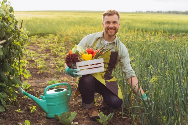 Homem Agricultor Feliz Segurando Cesta Com Legumes Frescos Trabalhando Jardim — Fotografia de Stock