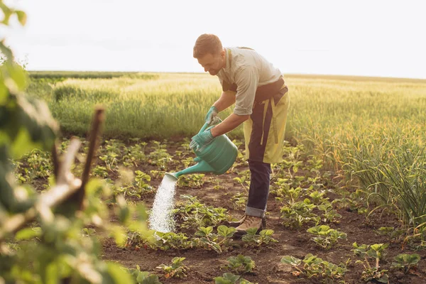 Glücklicher Bauer Wässert Die Beete Und Arbeitet Garten — Stockfoto