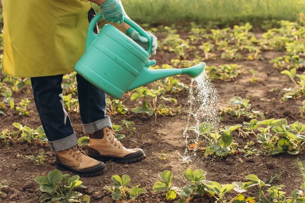 Ein Männlicher Bauer Wässert Die Beete Und Arbeitet Garten — Stockfoto