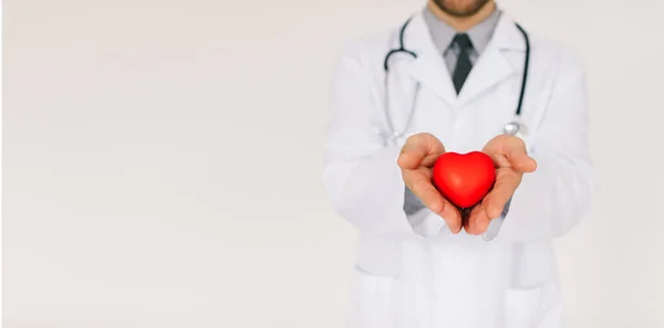 Άνδρας Καρδιολόγος Γιατρός Κρατώντας Την Καρδιά Αντίγραφο Χώρο Λευκό Φόντο — Φωτογραφία Αρχείου