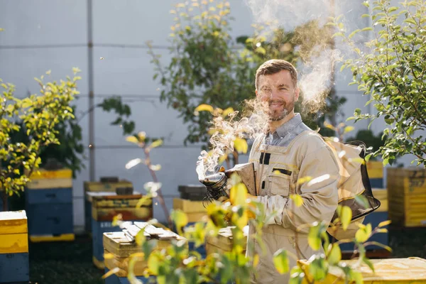 Portrét Včelaře Jak Kouří Plástve Včelího Úlu Kolem Nich Rojí — Stock fotografie