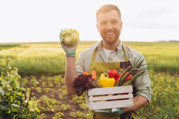Hombre Agricultor Feliz Sosteniendo Cesta Con Verduras Frescas Mostrando Repollo — Foto de Stock