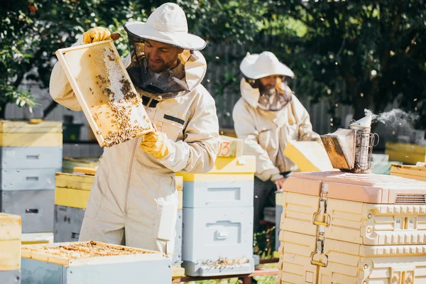 Arı Yetiştiricisi Arılarla Dolu Bir Bal Peteği Ile Çalışır Koruyucu — Stok fotoğraf