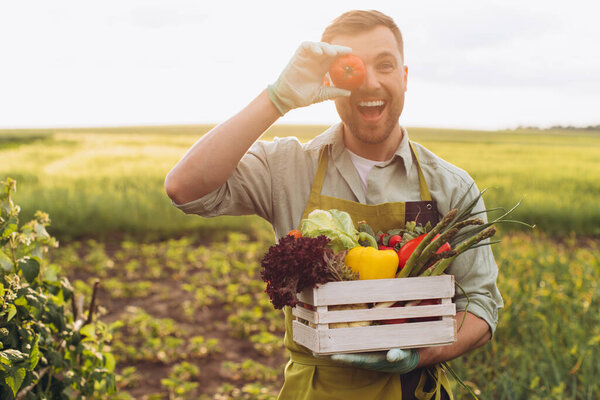 Happy farmer man holding basket with fresh vegetables and putting tomato to eyes in garden, gardening concept