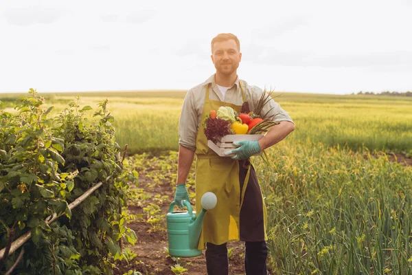 Šťastný Farmář Muž Drží Koš Čerstvou Zeleninou Zavlažovací Plechovky Zahradnické — Stock fotografie