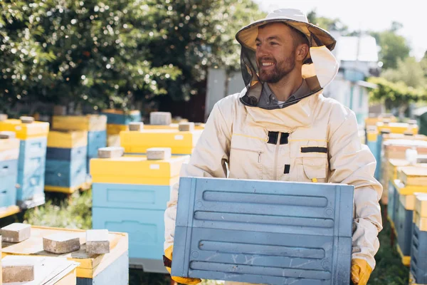 穿着防护服的快乐的雄性养蜂人把蜂箱放在养蜂场 — 图库照片