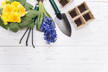 Bahçe aletleri ve çiçekler beyaz ahşap arka plan manzaralı. Bahçe işleri hobileri.